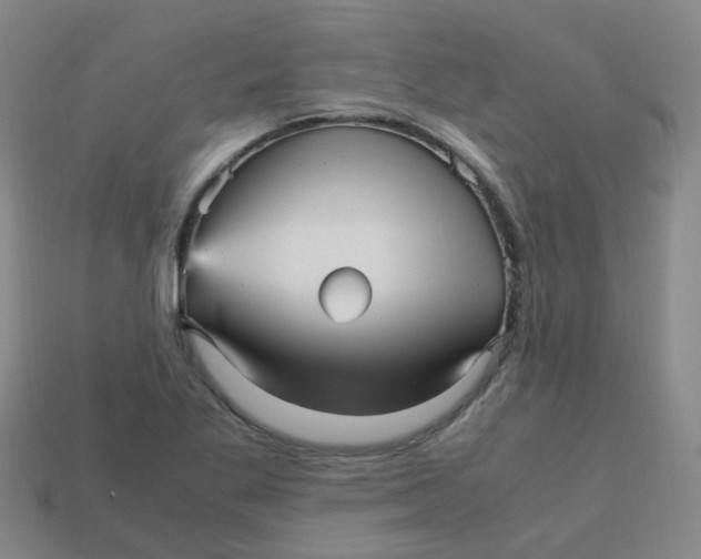 X0000113251269200910081311