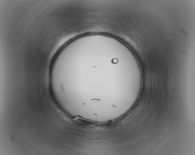 X0000113251270200910081311