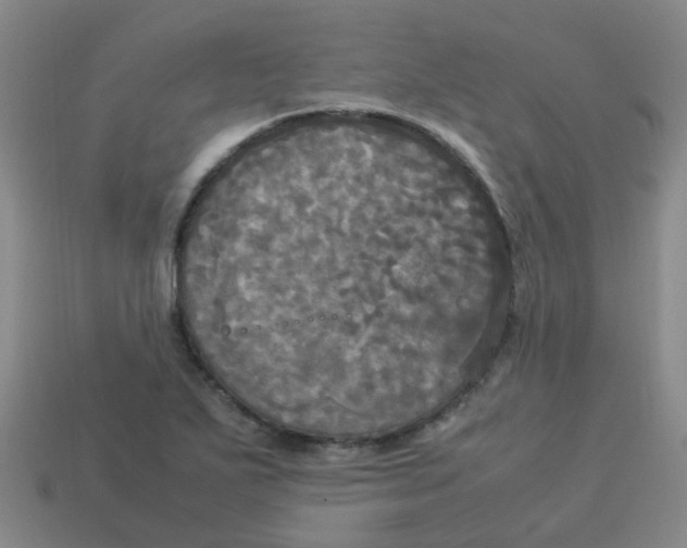 X0000113251271200910081311