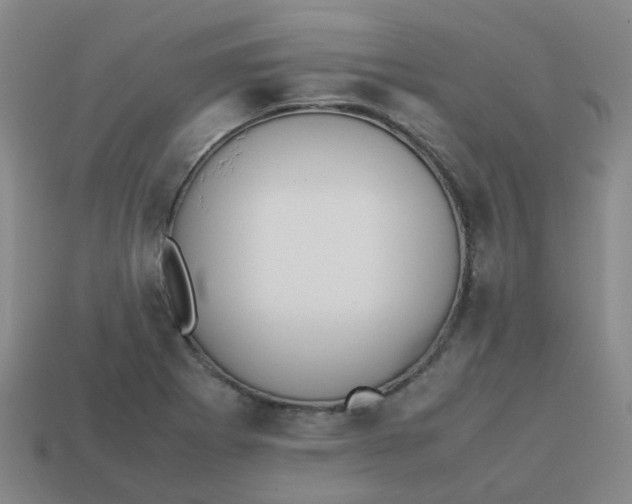 X0000113251273200910081311