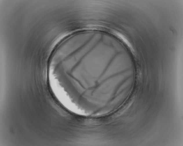 X0000113251275200910081311