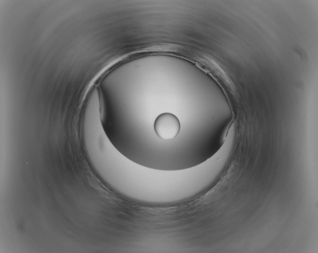 X0000113251276200910081311