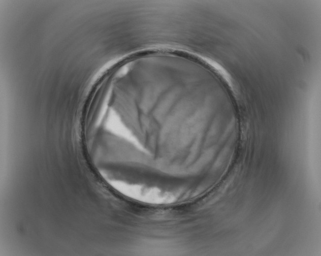 X0000113251279200910081311