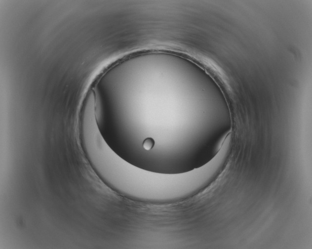 X0000113251280200910081311