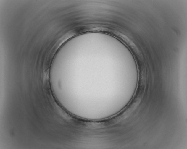 X0000113251281200910081311