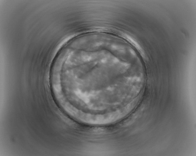 X0000113251283200910081311