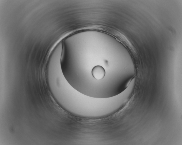 X0000113251284200910081311