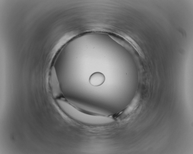 X0000113251285200910081311