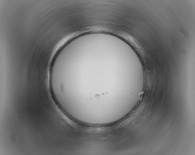 X0000113251286200910081311