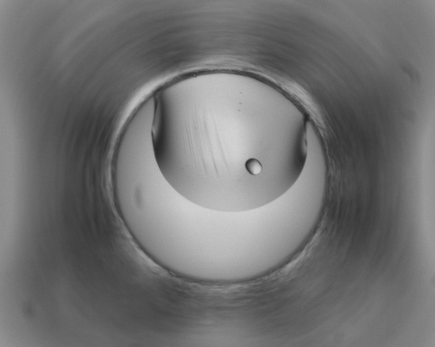 X0000113251288200910081311