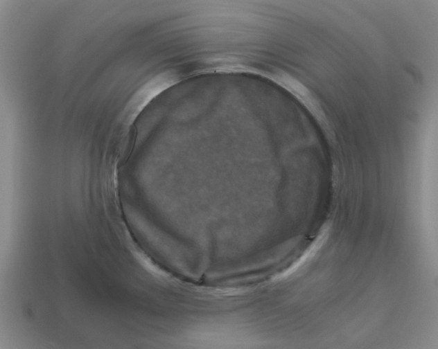 X0000113251289200910081311