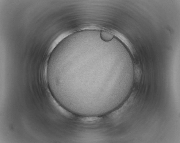 X0000113251290200910081311