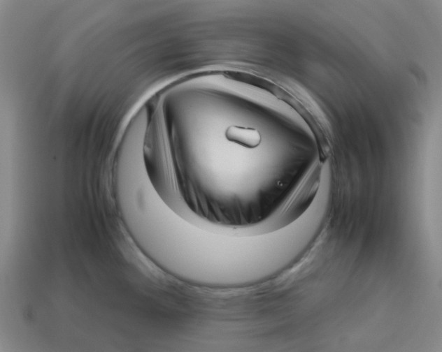 X0000113251292200910081311