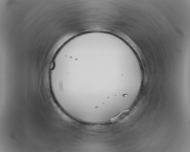 X0000113251293200910081311