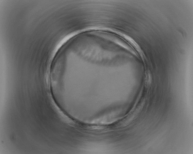 X0000113251295200910081311