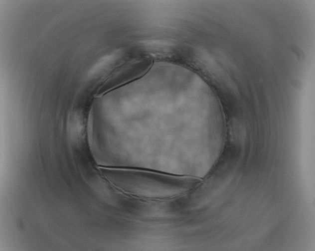 X0000113251298200910081310