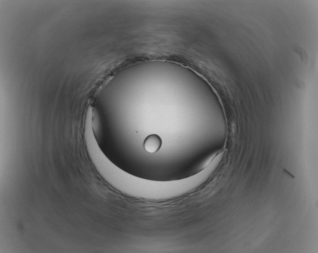 X0000113251300200910081310