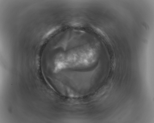 X0000113251301200910081310