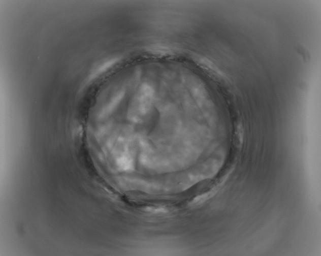 X0000113251302200910081310