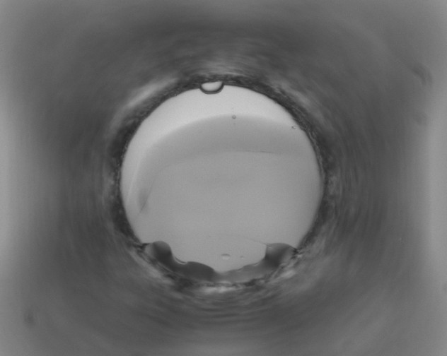 X0000113251303200910081310