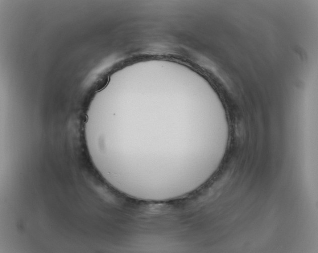 X0000113251304200910081310