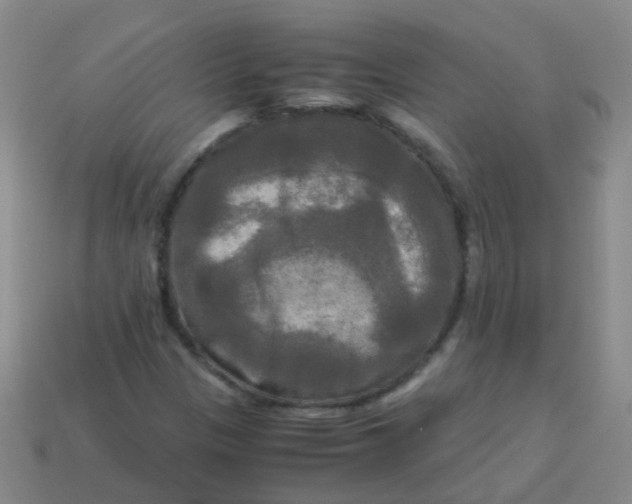 X0000113251305200910081310