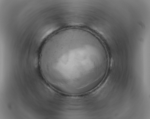 X0000113251306200910081310