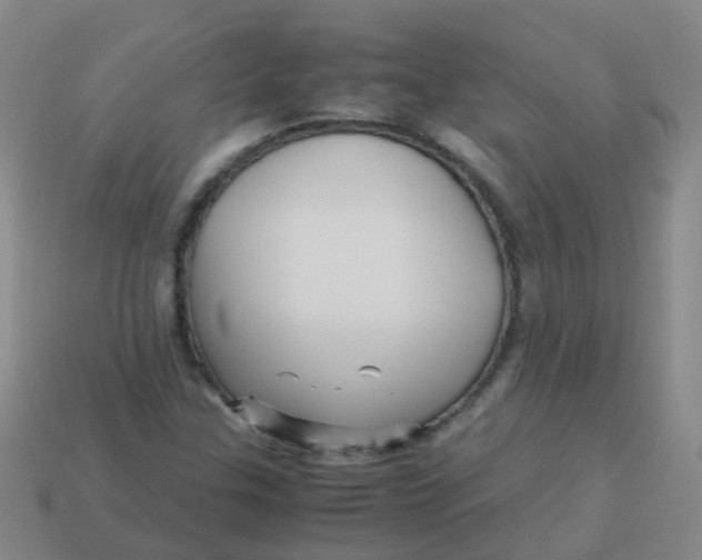 X0000113251307200910081310