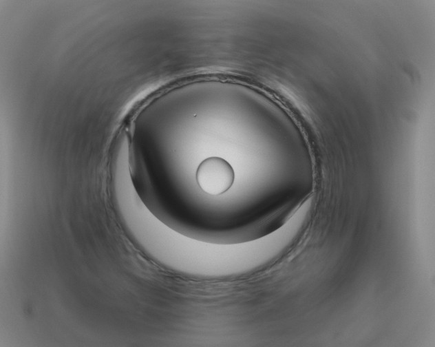 X0000113251308200910081310