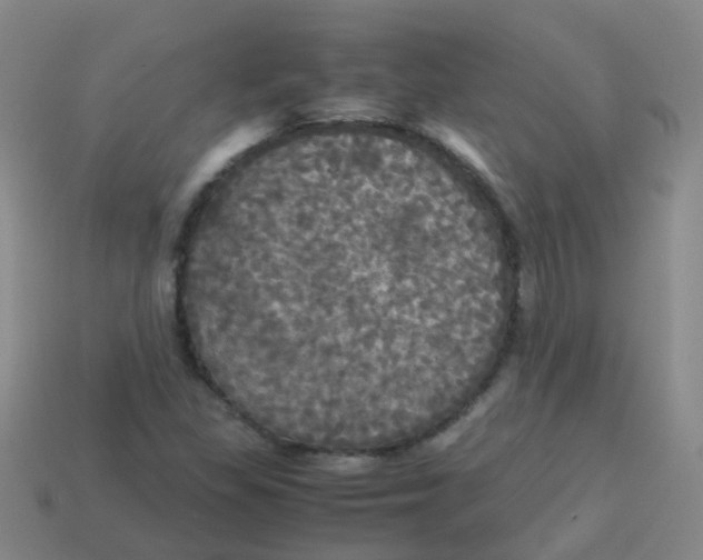 X0000113251309200910081310