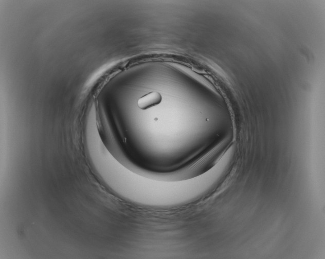 X0000113251310200910081310