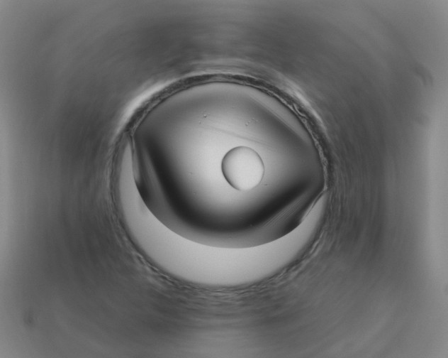 X0000113251312200910081310