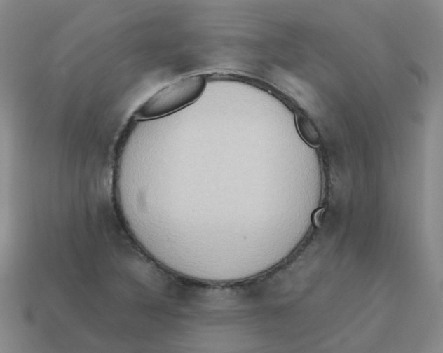 X0000113251316200910081310