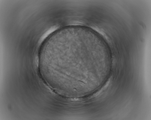 X0000113251317200910081310