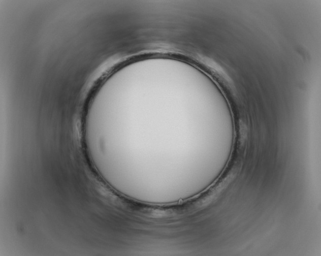 X0000113251318200910081310