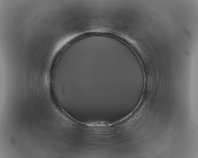 X0000113251319200910081310