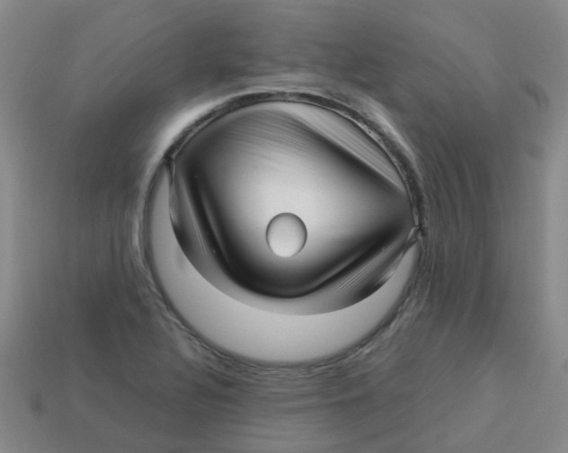 X0000113251320200910081310