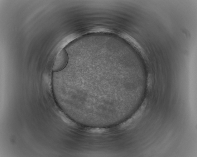 X0000113251321200910081310