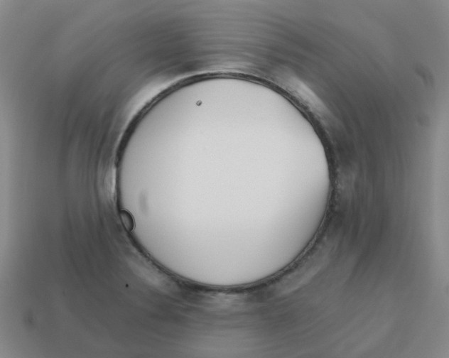 X0000113251324200910081311