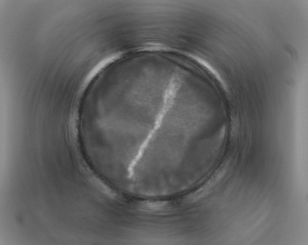 X0000113251325200910081311