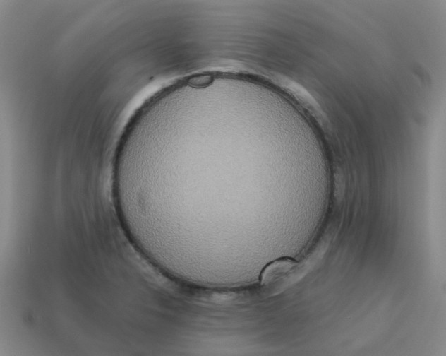 X0000113251326200910081311