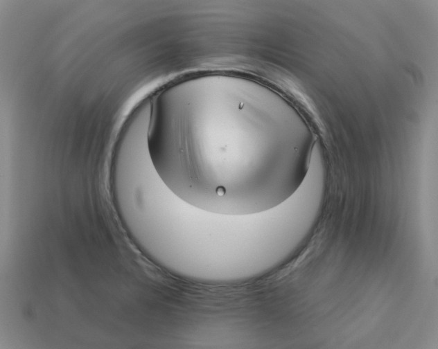 X0000113251328200910081311