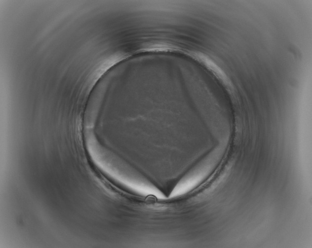 X0000113251329200910081311