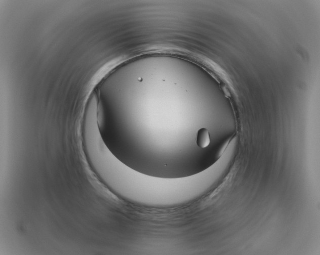 X0000113251330200910081311