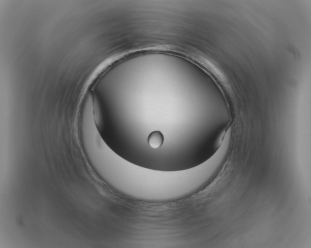 X0000113251332200910081311