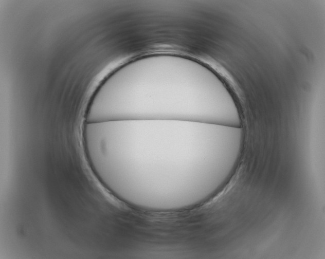 X0000113251333200910081311