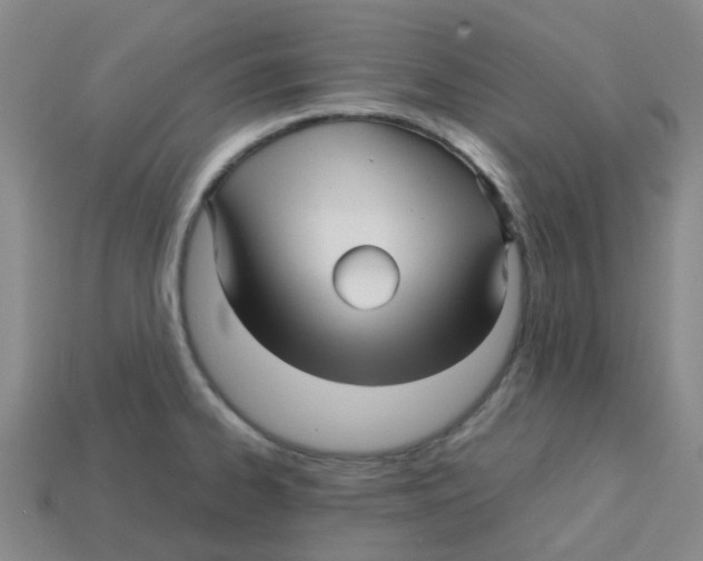 X0000113251334200910081311