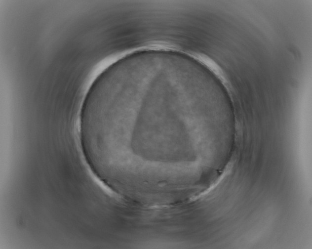 X0000113251335200910081311