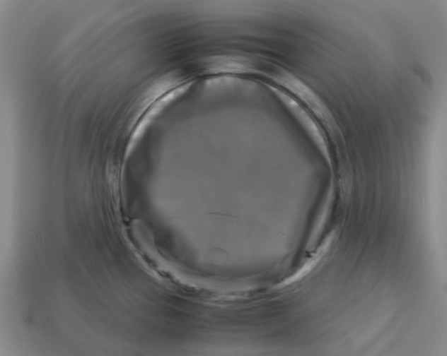 X0000113251337200910081311