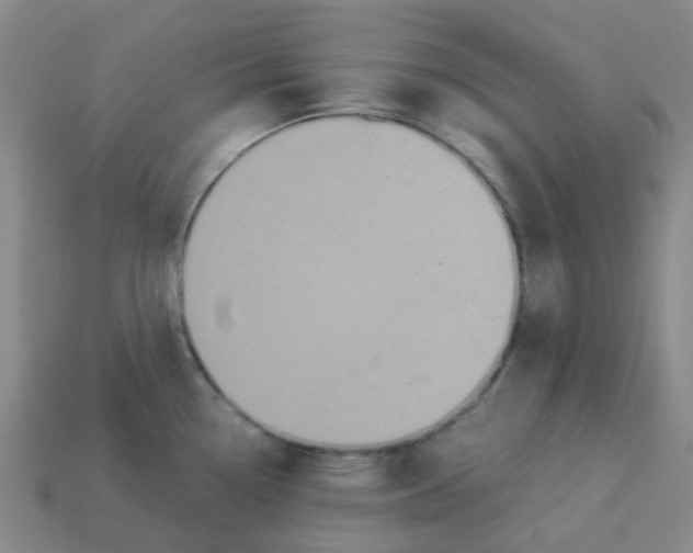 X0000113251338200910081311